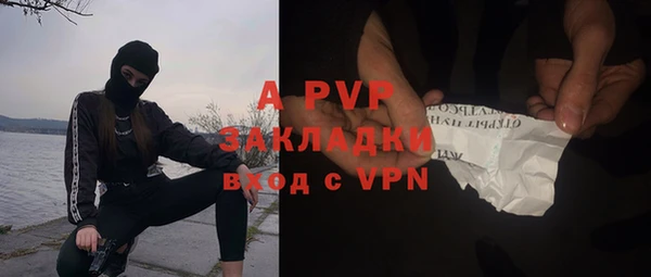 сатива Гусев