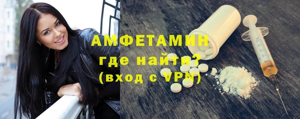 сатива Гусев
