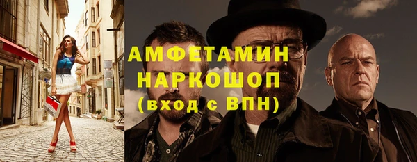 сатива Гусев