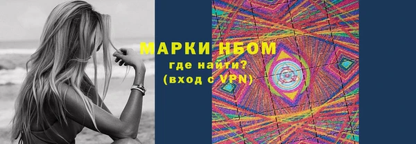 сатива Гусев