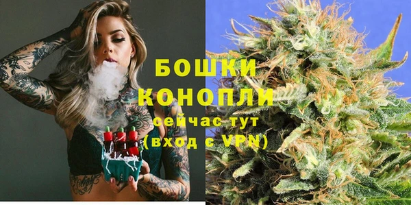 сатива Гусев