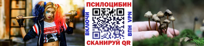 Купить  Камень-на-Оби  Псилоцибиновые грибы GOLDEN TEACHER 